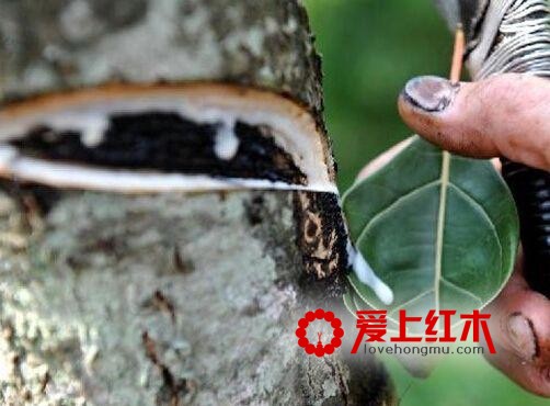 红木家具油漆大科普！（纯干货）-2