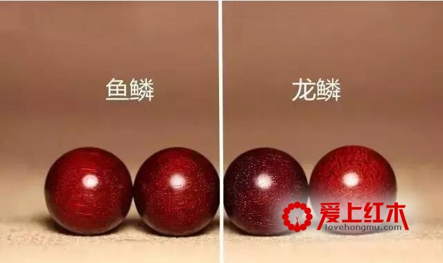 涨知识了！关于小叶紫檀龙鳞纹-3
