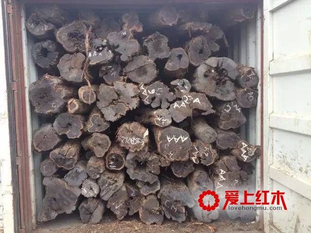 紫光檀最全资料介绍 紫光檀为何不走俏？-3