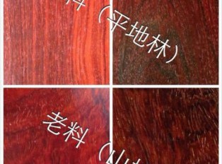 小叶紫檀能细分成这个十个等级 你知道哪些不宜长期佩戴吗