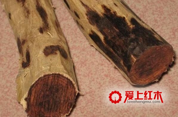 海黄科普：海黄知多少？-4