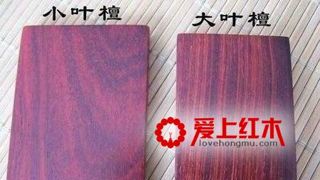 所谓“大叶、小叶”紫檀，是真紫檀吗？-3