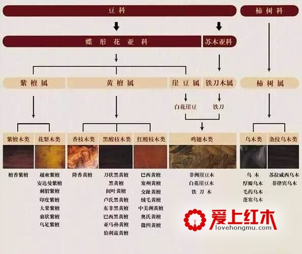 纯干货：红木家具基础知识概述-3