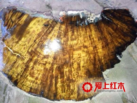 金丝楠木手串从20元到两万多元 为什么价格差异如此之大？-2