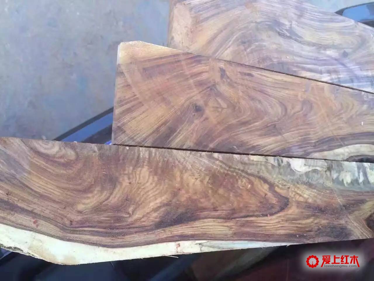 非洲檀香木不是檀香？螺穗木资料介绍-2