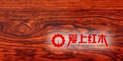 教你三种黄檀木有什么区别