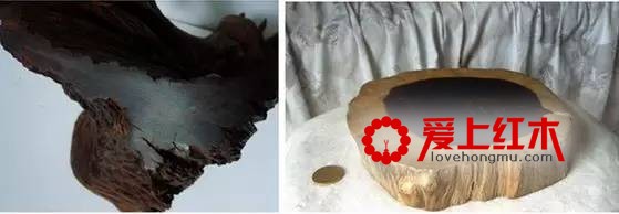 乌木和条纹乌木有什么区别？乌木有哪些种类？