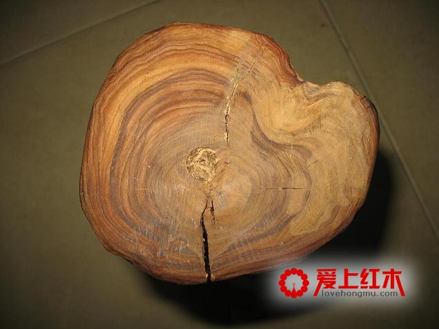 檀香木为什么如此之贵？