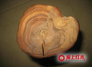 檀香木为什么如此之贵？