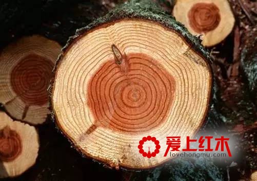 红木年龄怎么判断？“百年寸檀”是夸张说法吗-1