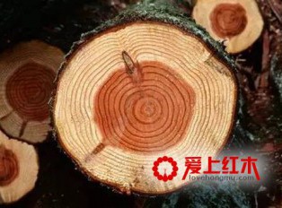 红木年龄怎么判断？“百年寸檀”是夸张说法吗