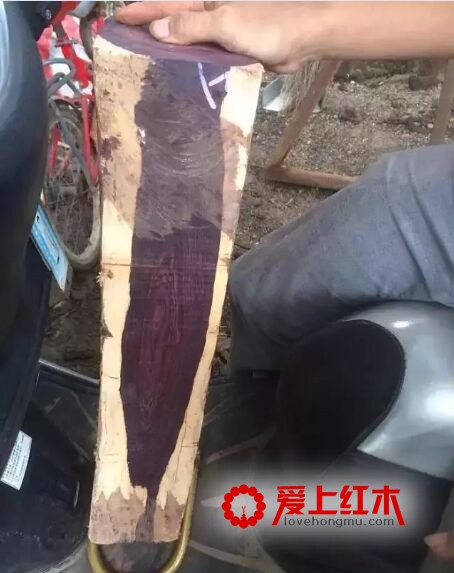海南黄花梨又出孪生兄弟“紫花梨”-2