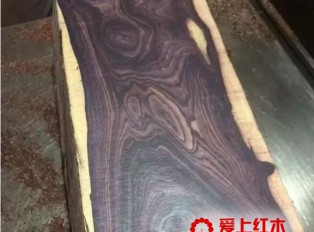 海南黄花梨又出孪生兄弟“紫花梨”