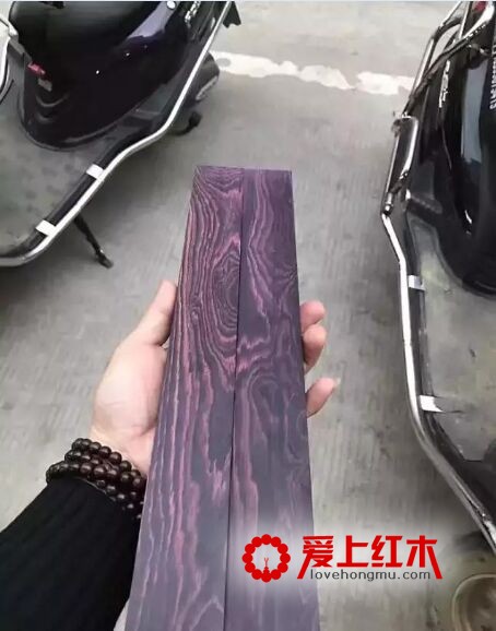 海南黄花梨又出孪生兄弟“紫花梨”-4