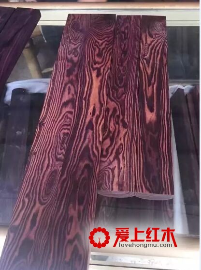 海南黄花梨又出孪生兄弟“紫花梨”-9