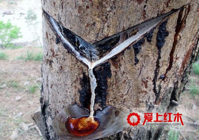 红木家具究竟是上漆好还是烫蜡好？-2