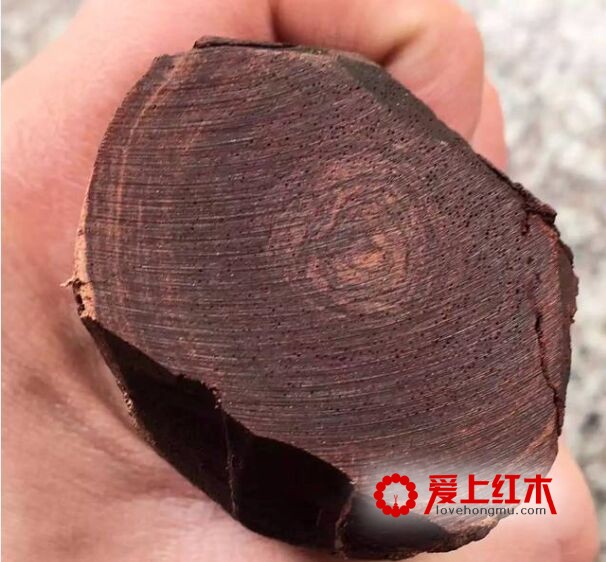 料质是黄花梨的重要品质-1