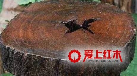 “十檀九空”是什么意思？精品小叶紫檀欣赏-3