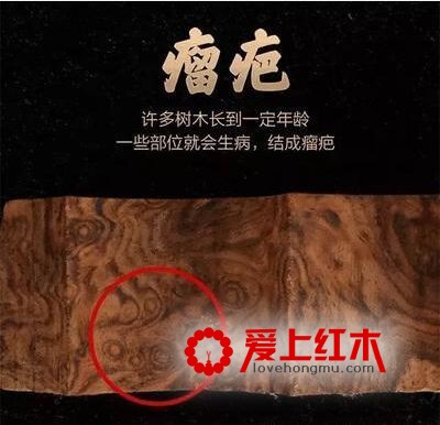 黄花梨纹理大全以及各种纹理的特征-6