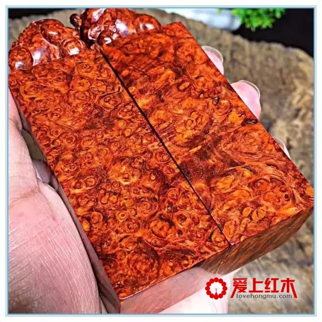 真正高品质的小叶紫檀原来是这样的！-5