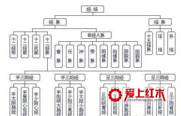 明式圈椅之中华经络养生保健作用-5