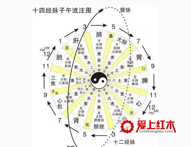 明式圈椅之中华经络养生保健作用-6