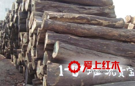 红木市场上的沉贵宝是什么木材？有收藏价值吗-1