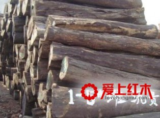 红木市场上的沉贵宝是什么木材？有收藏价值吗