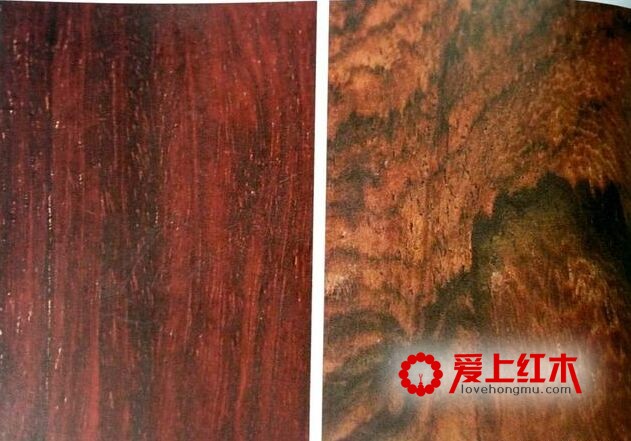 谈一谈紫檀与庞大的“紫檀家族”-3