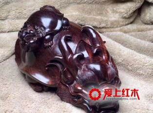 龙龟，寓意【荣归】，形态饱满，霸气侧漏！