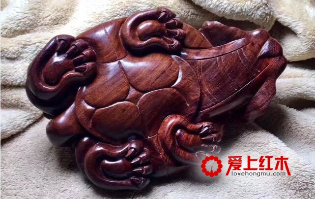 龙龟，寓意【荣归】，形态饱满，霸气侧漏！-9