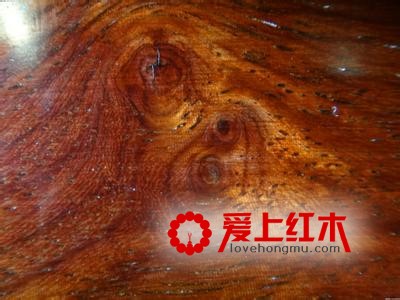 让你五分钟了解黄花梨的常识