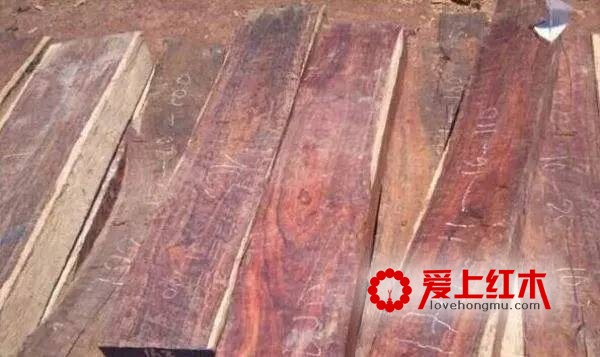 一黄二紫三红 大红酸枝木的识别方式【图】-3