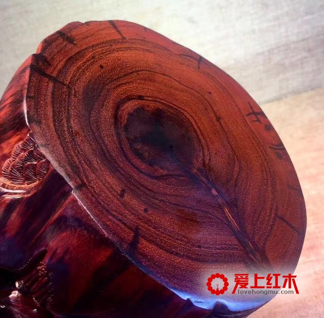 正宗印度小叶紫檀青梅竹马-9