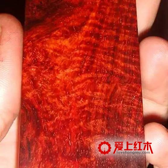 紫檀中不同纹理在横切面纵切面以及珠子上的表现形式介绍-8