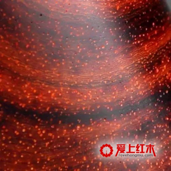 紫檀中不同纹理在横切面纵切面以及珠子上的表现形式介绍-12