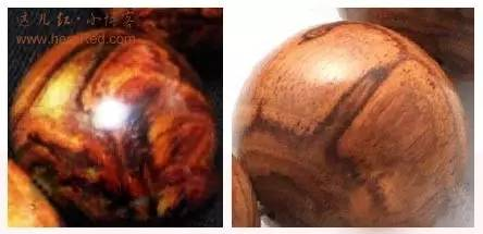 极品海黄长什么样？你见过没？-5