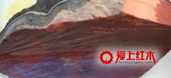 大果紫檀（缅甸花梨）家具该如何鉴别真伪？-6