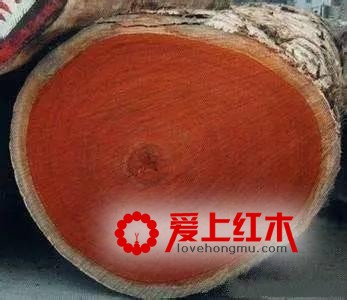 大果紫檀（缅甸花梨）家具该如何鉴别真伪？-7