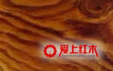 33种国标红木木材基本资料汇总 不要被忽悠了-3