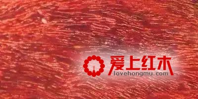 33种国标红木木材基本资料汇总 不要被忽悠了-2