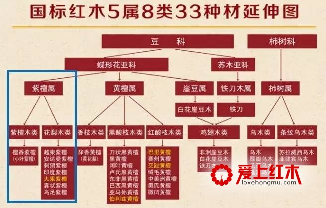 亚花梨不属于红木范畴但为何在市场上如此火爆-1