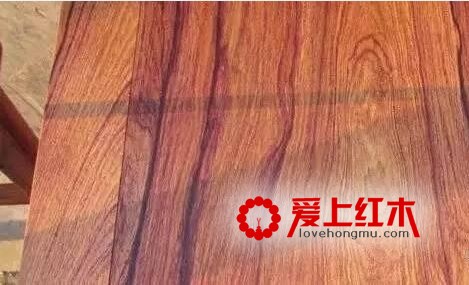 一招辨出奥氏黄檀、交趾黄檀、巴里黄檀-1