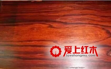 一招辨出奥氏黄檀、交趾黄檀、巴里黄檀-2