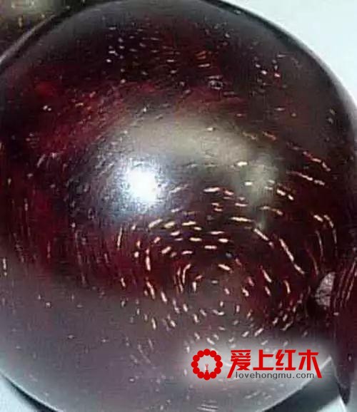 红木棕眼知多少 紫檀棕眼种类及形态介绍-2