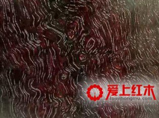 红木棕眼知多少 紫檀棕眼种类及形态介绍