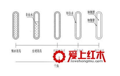 关于紫檀的重量与密度-2