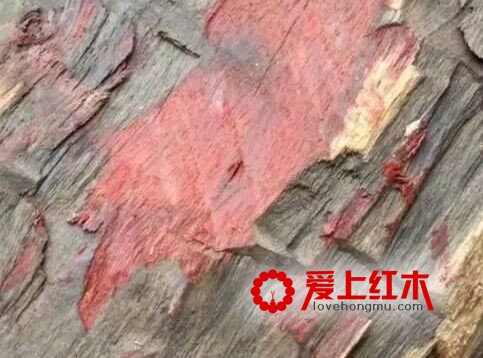什么是血檀，血檀家具的优缺点-2