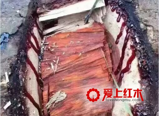 什么是血檀，血檀家具的优缺点-3