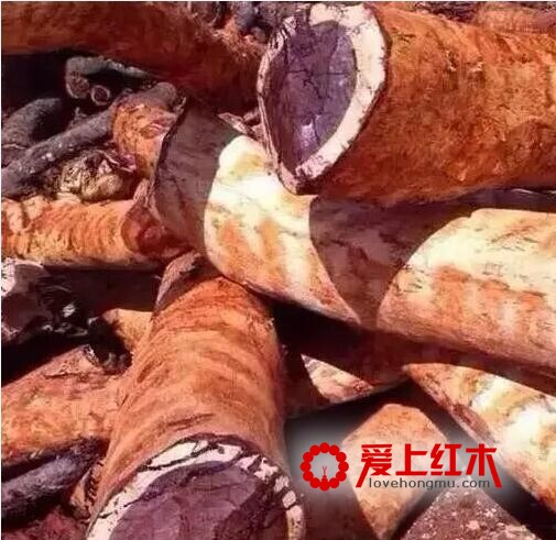 什么是血檀，血檀家具的优缺点-5